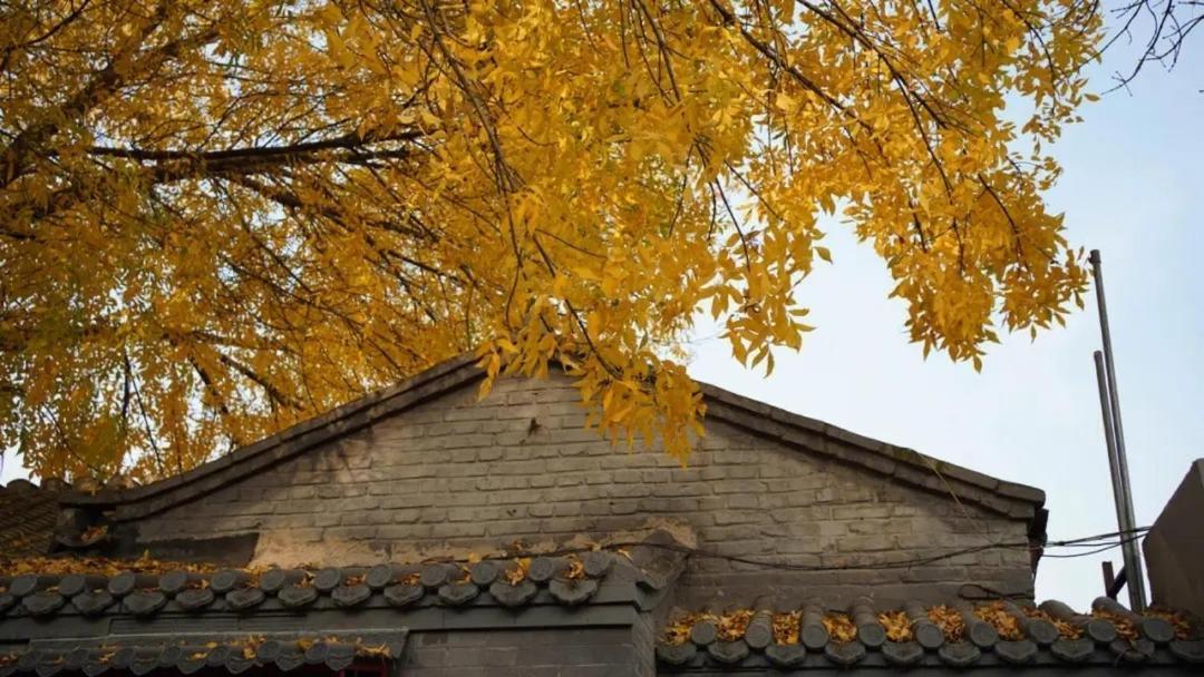 The East Hotel-Very Close To The Drum Tower,The Lama Temple,Houhai Bar Street,And The Forbidden City,There Are Many Old Beijing Traditional Hutongs Around The Hotel ,Experience The Culture Of Old Beijing Hutongs,Near Exit A Of Shichahai On Metro Line Luaran gambar